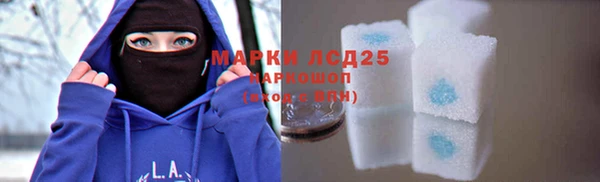 mdpv Новодвинск