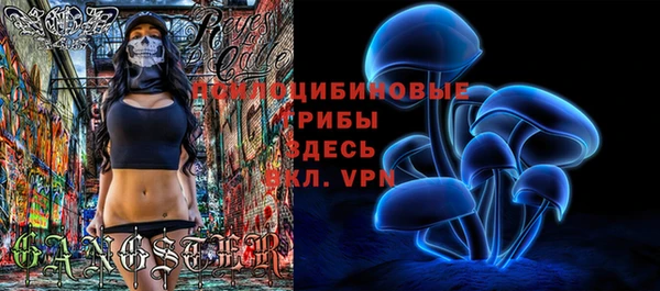 mdpv Новодвинск