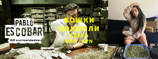 mdpv Новодвинск