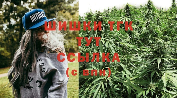 первитин Няндома