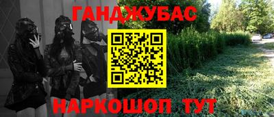 шишки Обь