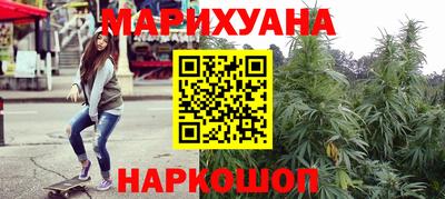 шишки Обь