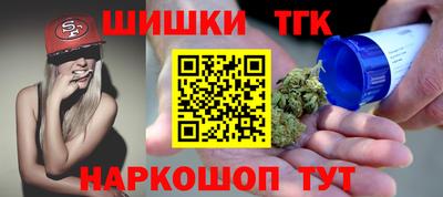 шишки Обь