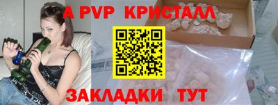 шишки Обь