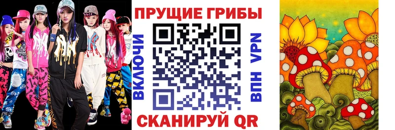 Псилоцибиновые грибы мухоморы  дарнет шоп  Шуя 