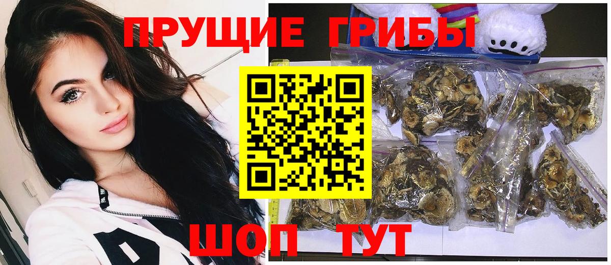 Шуя  Псилоцибиновые грибы Psilocybine cubensis  Галлюциногенные грибы GOLDEN TEACHER  Вход с VPN 